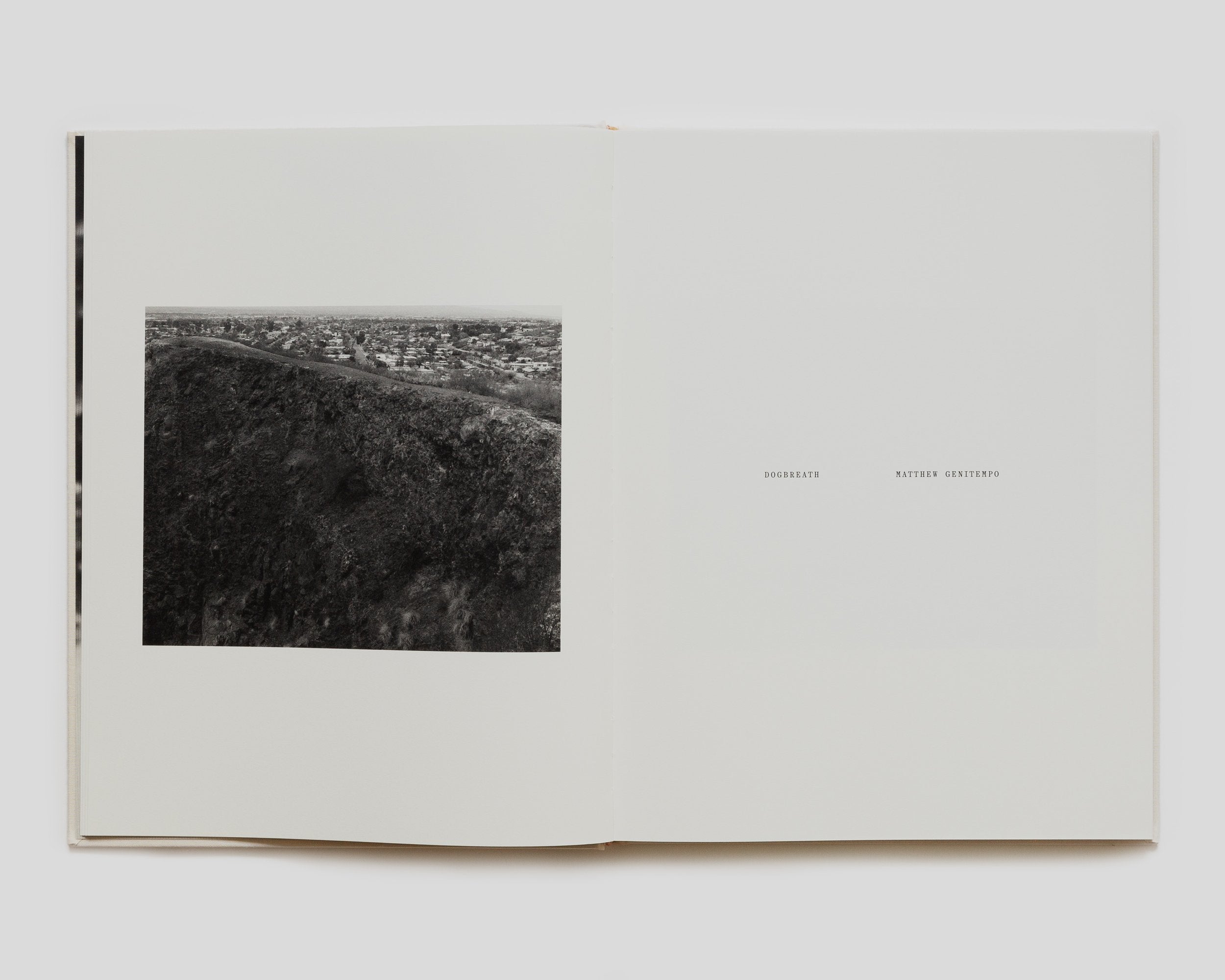 Matthew Genitempo/ Dogbreath 写真集 Dogbreath - Charcoal Book Club